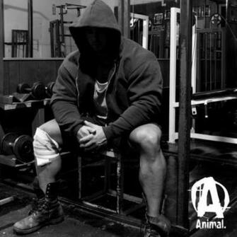 Amazon Universal Nutrition Animal Pak Sports