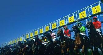 Horse Racing At Saratoga Wallpaper