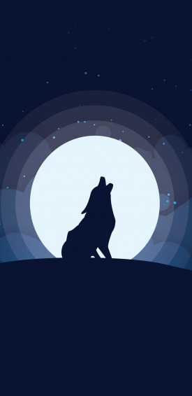 Wolf Phone Wallpaper By Marko Stupic