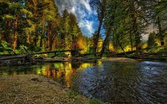 De Im Genes Rio En El Bosque River In The Forest HD Background