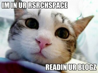 Animal Humor Image Lol Cats Wallpaper Photos