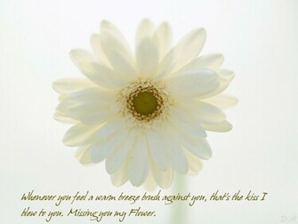 Missing You Wallpaper Pictures Photos And Background