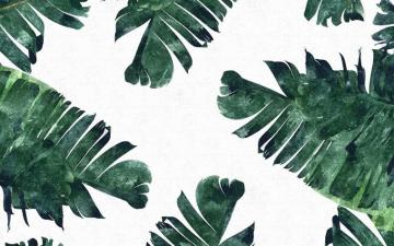 Tropical Leaves Desktop Wallpaper At