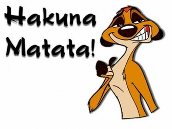 Timon Disney Picture Photo Wallpaper
