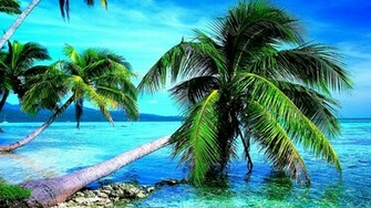 Wallpaper Proslut Breath Taking Nature