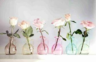 Photography Vintage Flowers HD Background Wallpaper