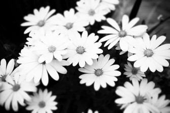 Black And White Aesthetic Pc Wallpaper