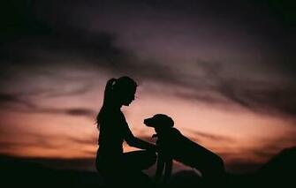 Wallpaper Girl Dog Silhouette Mood