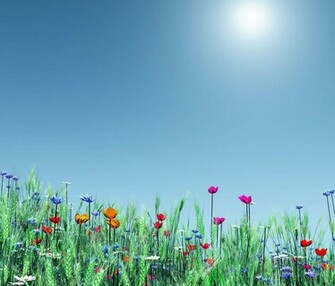 Flower Background For Android Tablets Tablet Wallpaper