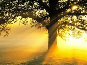 Beautiful Nature Wallpaper And Wonderful Places Around The World