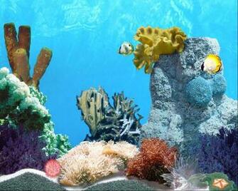 Your Computer Screen When Running Tropic Fish Animated Screensaver