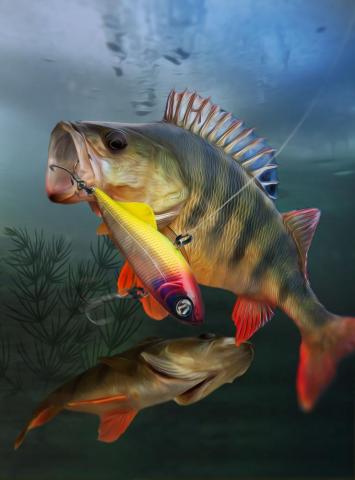 Fishing Art 3d All Over Printed Shirts Fish Wallpaper