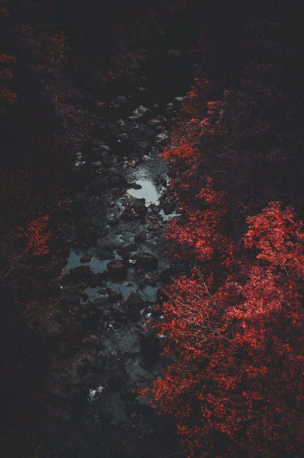 iPhone Home Screen Background Wallpaper