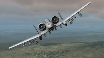 Warthog Wallpaper HD On Picsfair