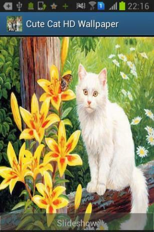 Talking Tom Cat HD Wallpaper For Android Appszoom