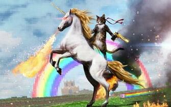 Cool Ninja Cat Wallpaper For Microsoft Windows
