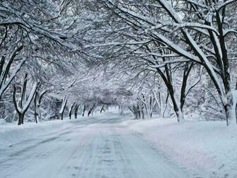Winter Nature Snow Scene Jpg