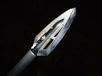 Hunting Archery Archer Bow Arrow Weapon Wallpaper Background