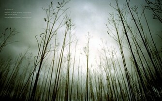 Nine Inch Nails Computer Wallpaper Desktop Background