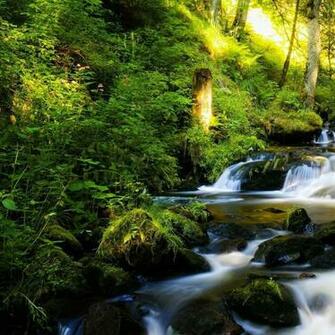 Waterfalls Wallpaper