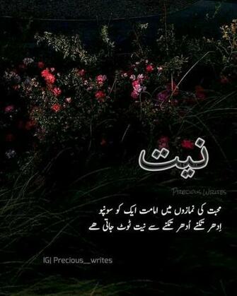 Must Follow Up Precious Urdu Urdupoetry