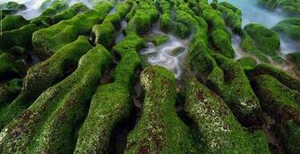Fabulous Nature Desktop Wallpaper In HD