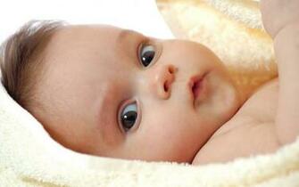 Babies Wallpaper