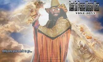 Macho Man Randy Savage Wallpaper