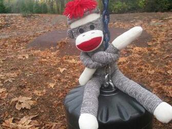 Canadian Sock Monkey Beauty Is Monkeys