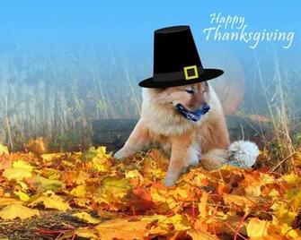 Thanksgiving HD Widescreen Wallpaper
