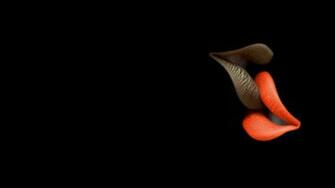 Kissing Lips Wallpaper
