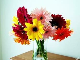 Very Beautiful Flowers Pictures For Wallpaper