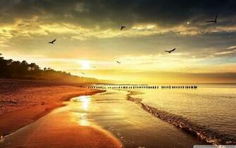 Nature Wallpaper High Definition