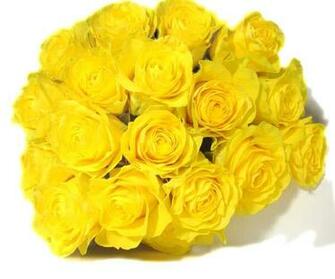 Yellow Roses Wallpaper