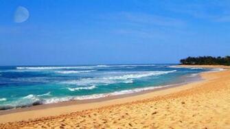 Hawaiian Beach Wallpaper