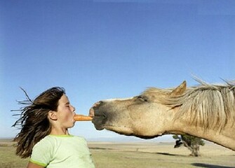 Wallpaper Comedy Pics Image In HD Funny Ever