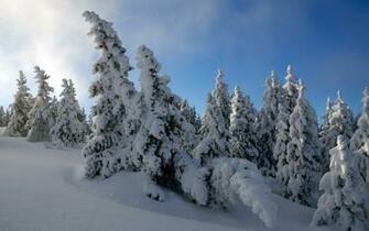 Wallpaper Snow In HD