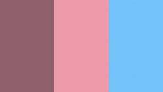 Resolution Mauve Taupe Mauvelous And Maya Blue Solid