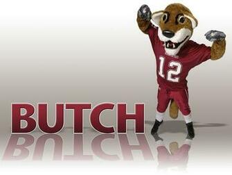 Washington State Cougars