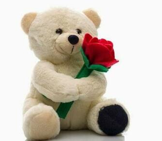 Happy Teddy Day Image Wallpaper Photos Pictures For