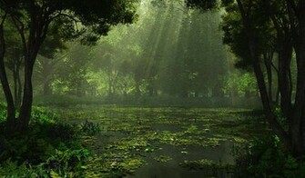 Beautiful Rainy Landscapes Wallpaper HD