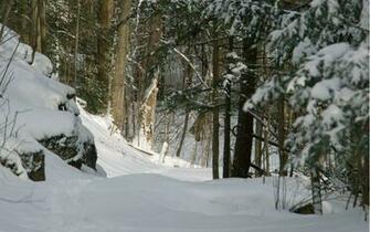 Winter Wallpaper Desktop In HD
