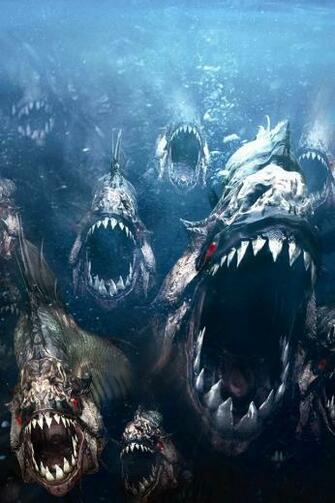 Live Wallpaper Net iPhone Item Piranha 3d HD