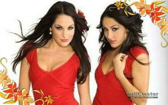 Wwe Bella Twins Wallpaper Full HD