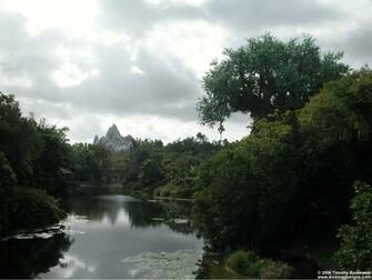 Animal Kingdom