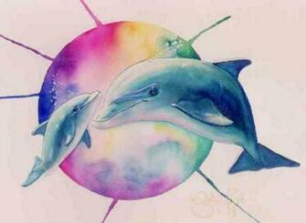 Colorful Dolphin Pictures