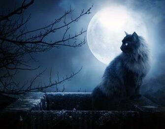 Full Moon Black Cat Desktop Wallpaper