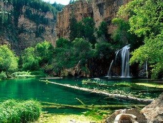 Animals Waterfalls Wallpaper Waterfall Desktop