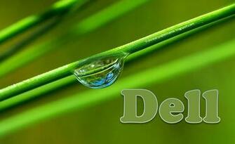 Dell 2bwallpaper Green Natural Xps
