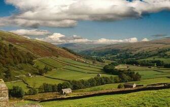 Open Field High Quality And Resolution Wallpaper On